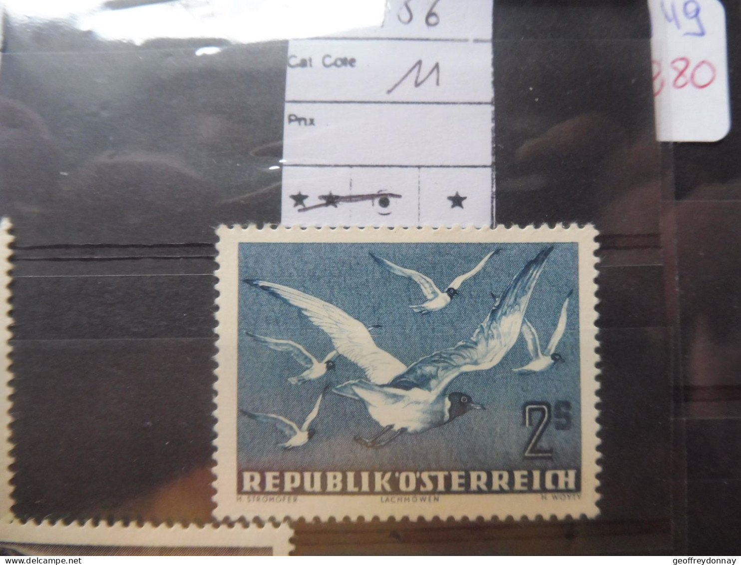 Autriche Osterreich Austria Pa Poste Aerienne 56  Mh Neuf * Plakken Perfect Parfait Etat Perfect Oiseaux Vogels Birds - Unused Stamps