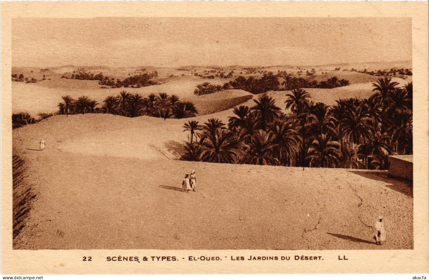 CPA AK EL-OUED Les Jardins Du Desert - Scenes Et Types ALGERIA (1357292) - El-Oued