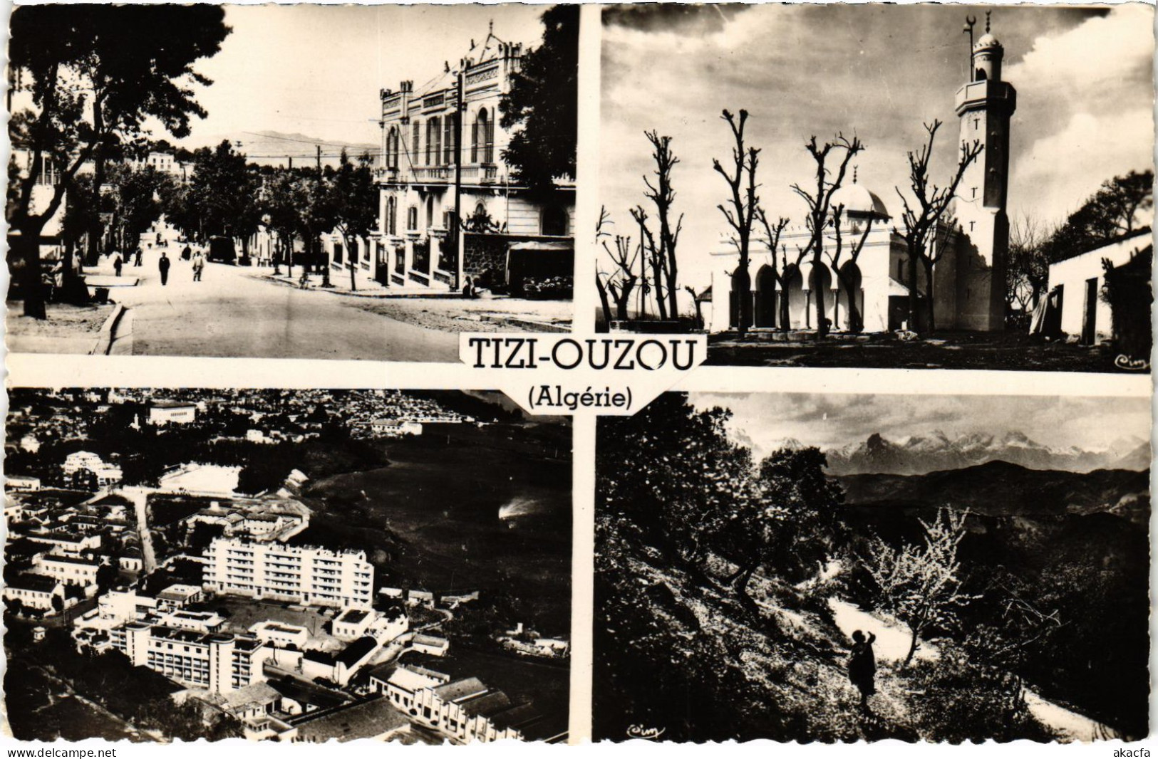 CPA AK TIZI-OUZOU Scenes ALGERIA (1358139) - Tizi Ouzou