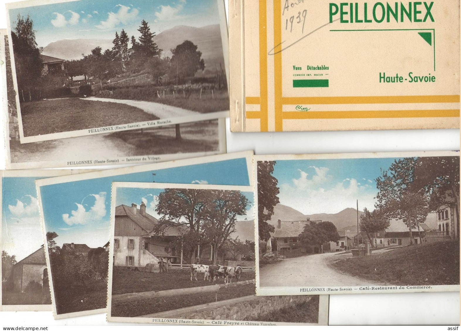 Peillonnex ( 74 ) 15 Cartes  ( 9 D'un Carnet CIM Incomplet Et 6 Tirées D'un Autre Carnet CIM ) - Peillonnex