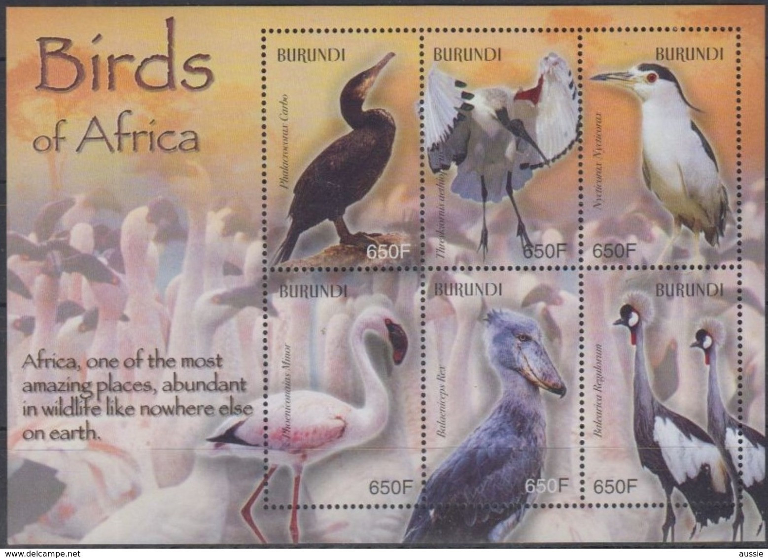 Burundi 2004 Yvertn° Bloc 146 *** MNH Cote 20 Euro Faune Oiseaux Vogels Birds - Ungebraucht
