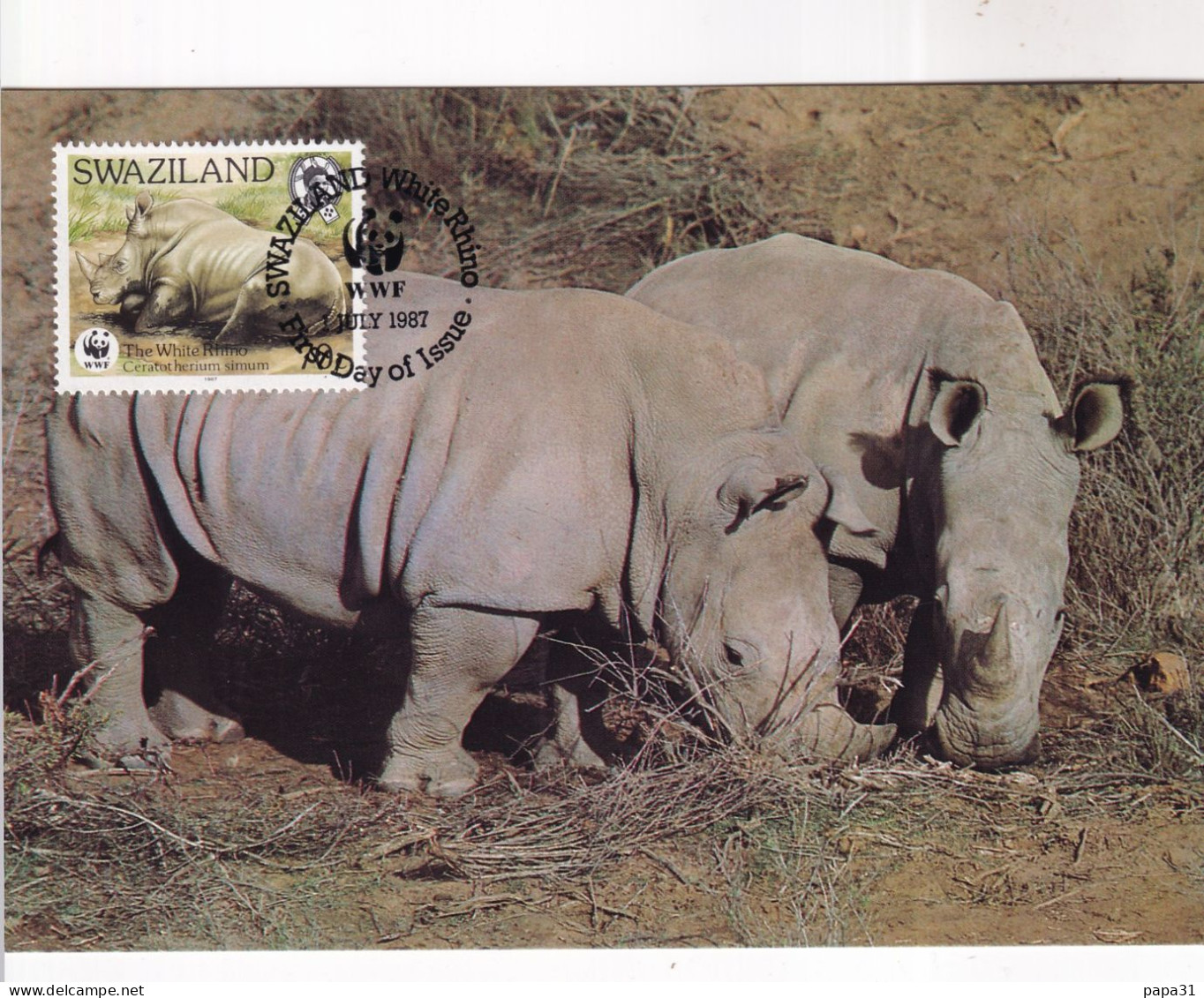 Rhinocéros Avec Le Timbre - Rinoceronte