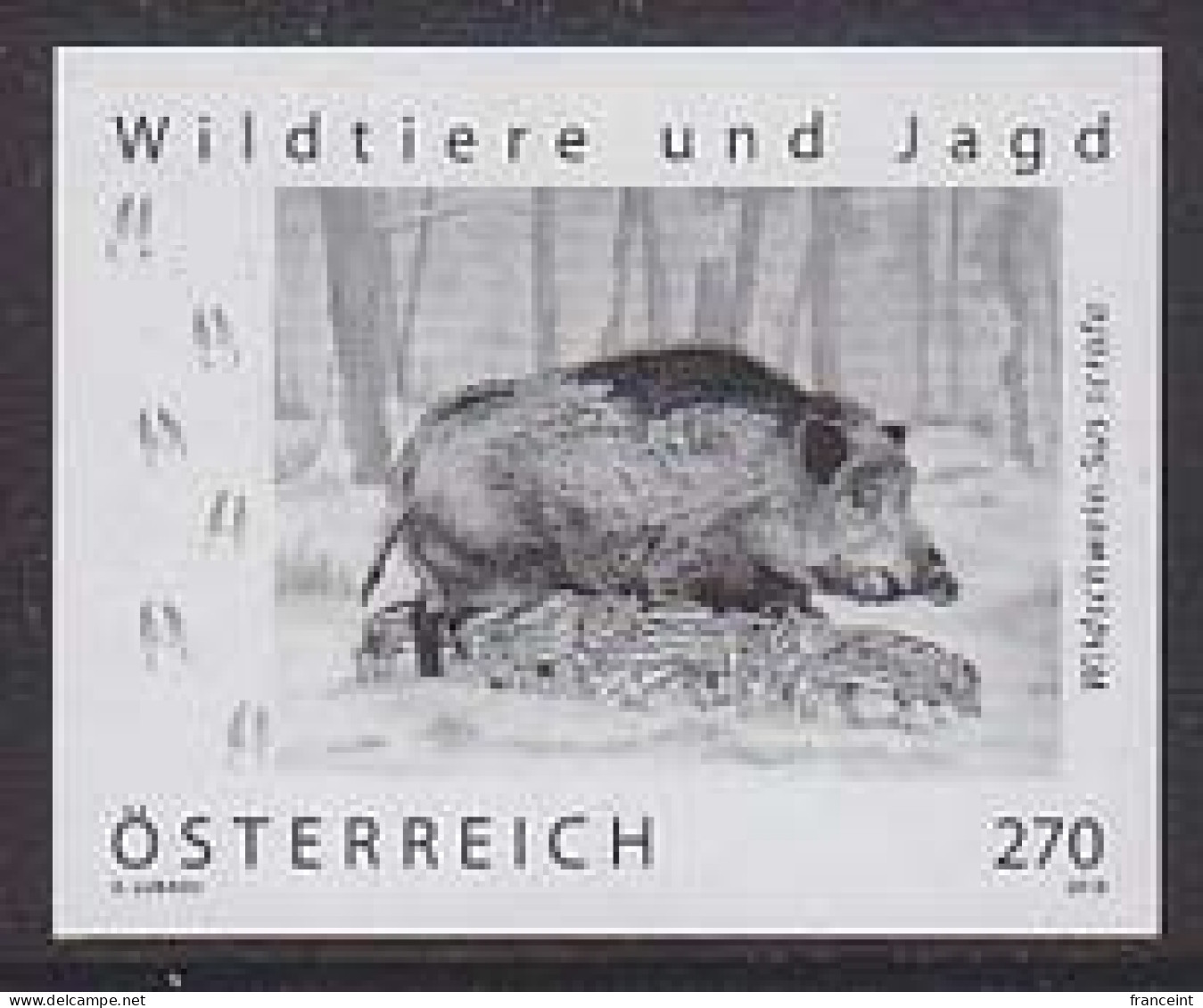 AUSTRIA(2019) Wild Boar And Cubs. Black Print. Wildlife & Hunting Series. - Proeven & Herdruk