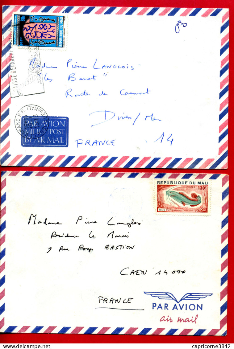 1973/1977 - Mali - 2 Lettres Pour La France - Tp N° 153 Idéogramme Bambara + N° 260 Poisson Heterobranchus - Malí (1959-...)