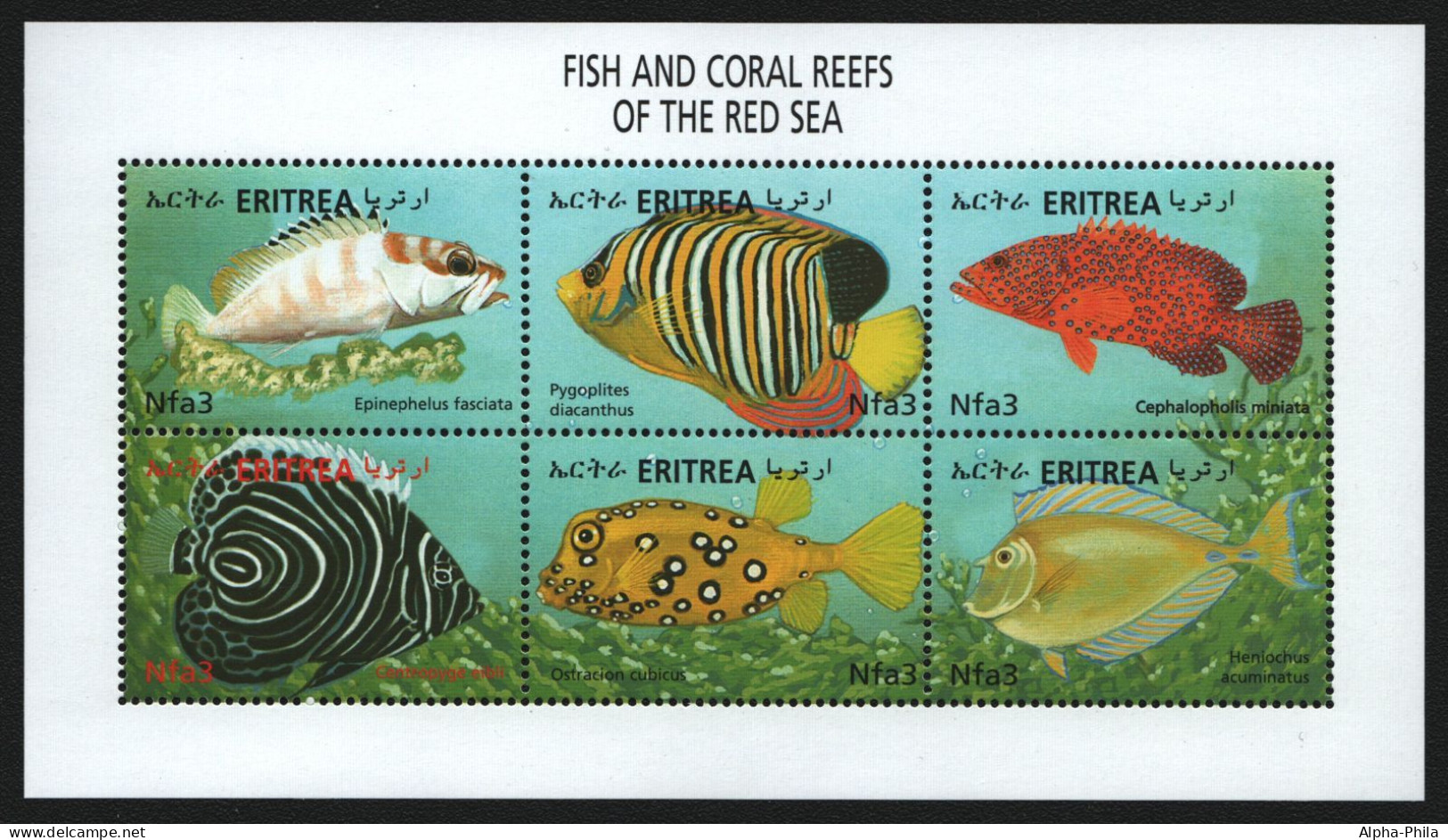 Eritrea 2000 - Mi-Nr. 230-235 ** - MNH - Fische / Fish - Eritrea