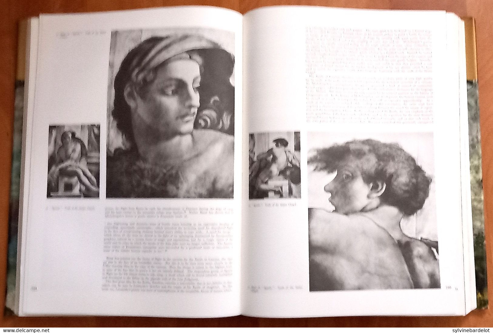 The Complete Work Of Michelangelo  - Mario Salmi, Charles De Tolnay, Umberto Baldini   & Roberto Salvini, - Beaux-Arts