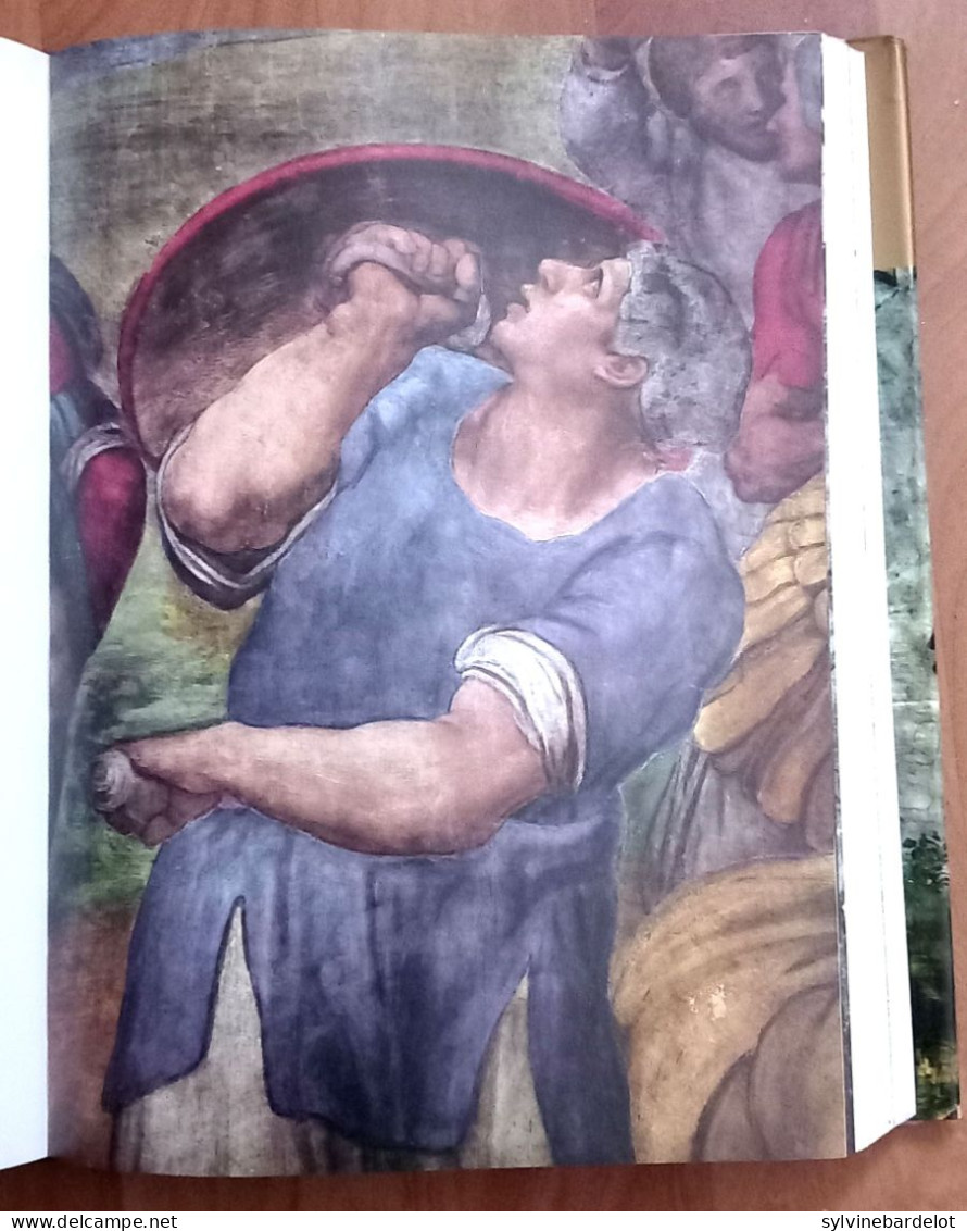 The complete work of Michelangelo  - Mario Salmi, Charles de Tolnay, Umberto Baldini   & Roberto Salvini,