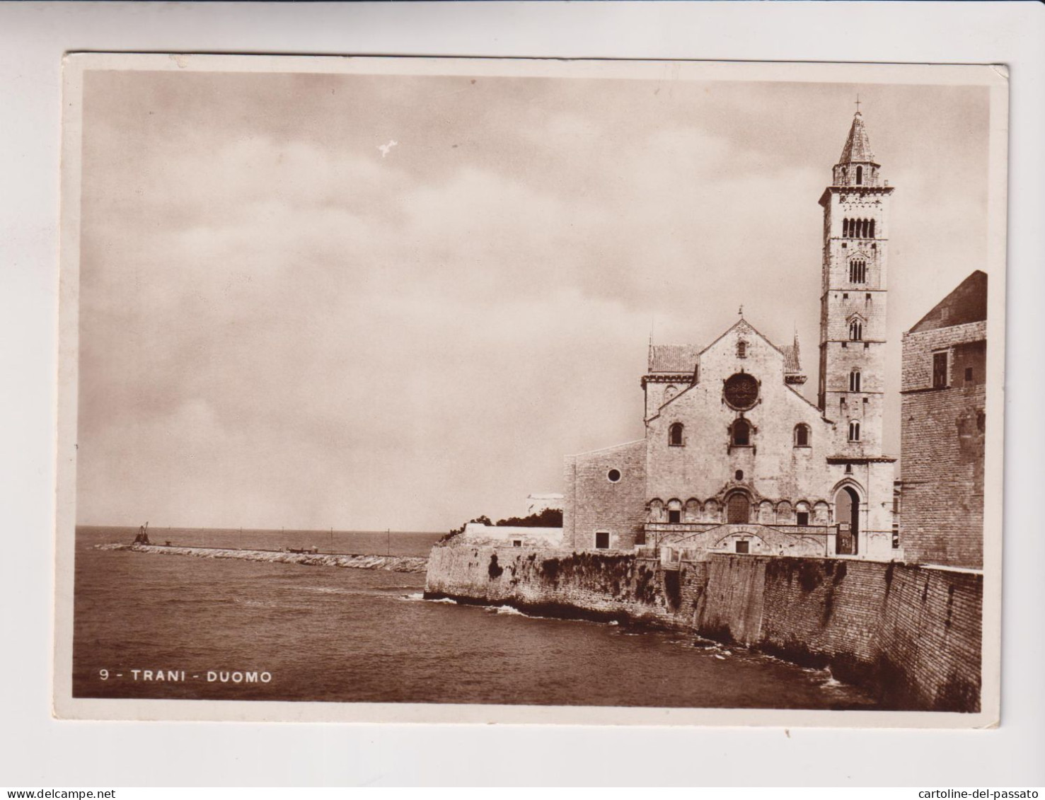 TRANI  DUOMO NO VG FOTOGRAFICA - Trani