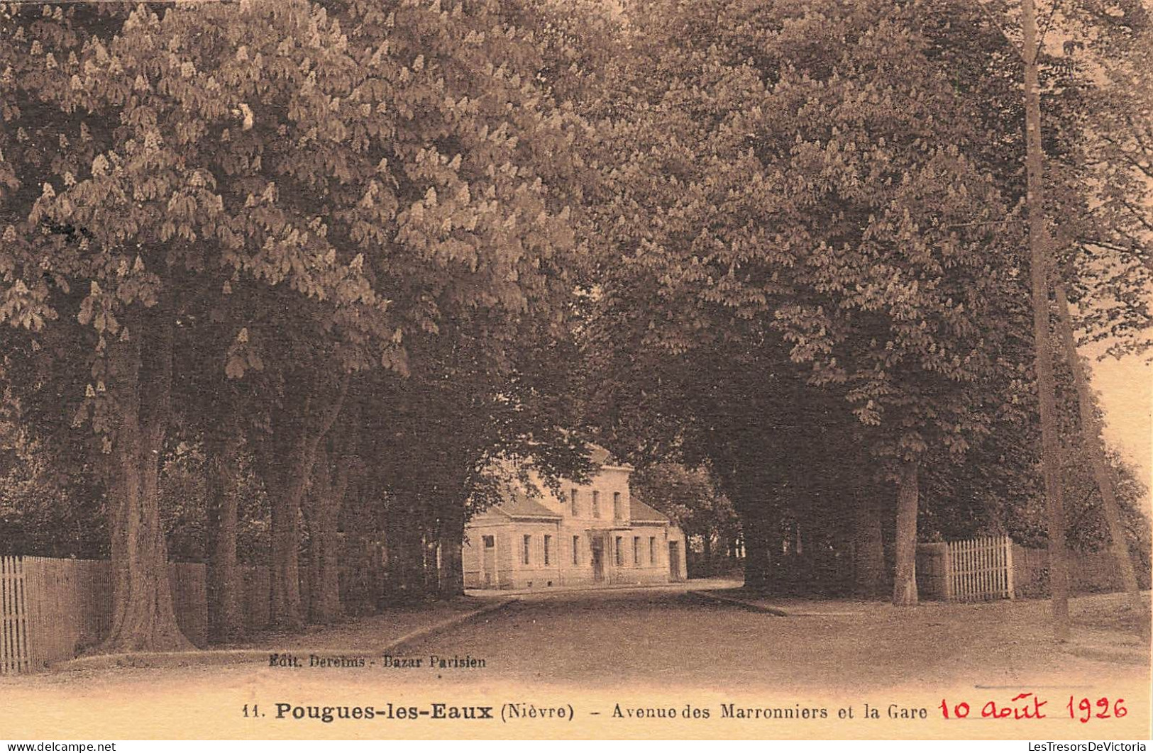 FRANCE -  Pougues Les Eaux - Avenue Des Marronniers Et La Gare - Carte Postale Ancienne - Pougues Les Eaux