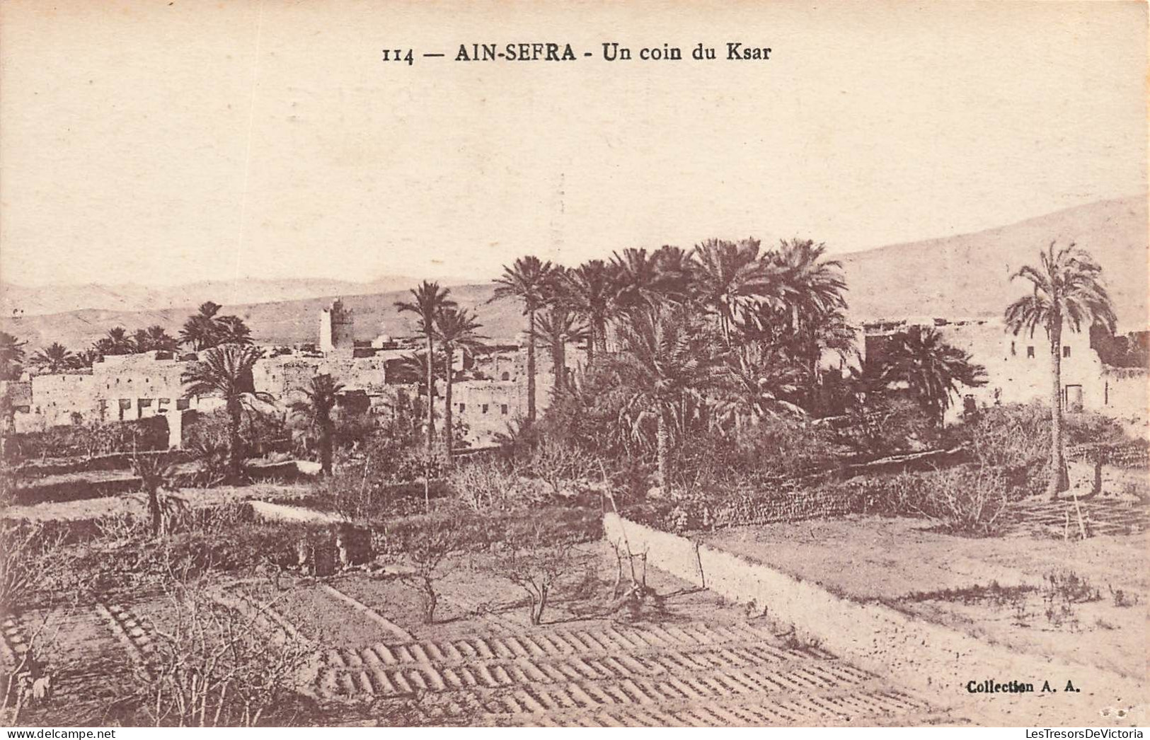 ALGÉRIE - Ain Sefra - Un Coin Du Ksar - Carte Postale Ancienne - Autres & Non Classés