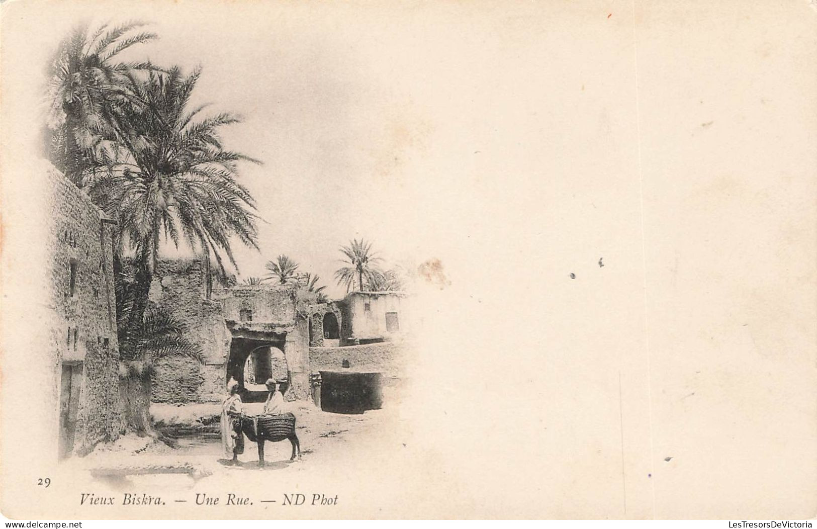 ALGÉRIE - Vieux Biskra - Une Rue - Carte Postale Ancienne - Biskra