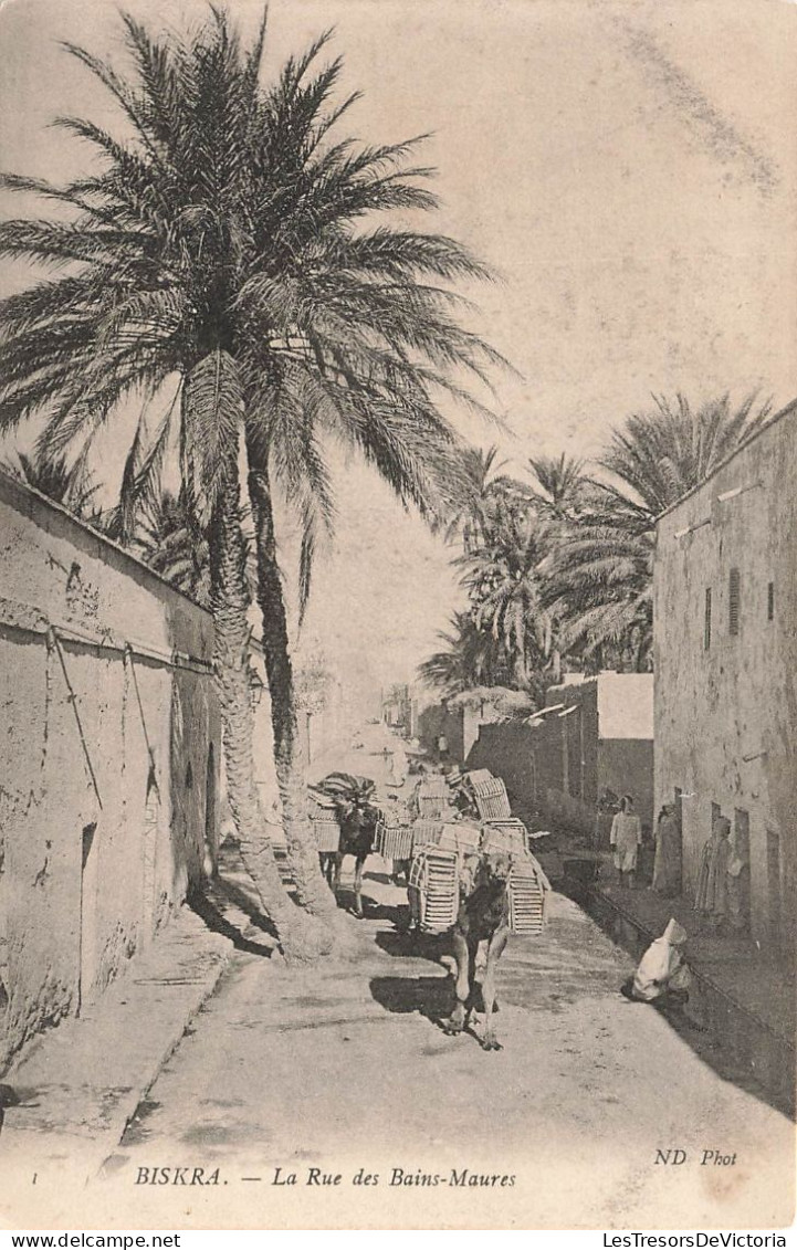 ALGÉRIE - Vieux Biskra - La Rue Des Bians-Maures - Dromadaires Portant Des Caisses - Carte Postale Ancienne - Biskra