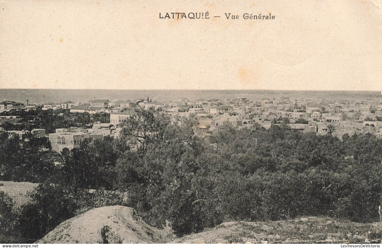 SYRIE - Lattaquié - Vue Générale - Carte Postale Ancienne - Syria