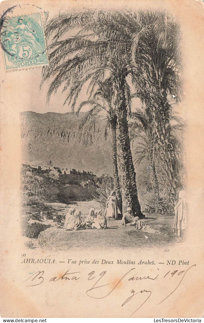 SCÈNES & PAYSAGES - Ahraouia - Vue Prise Des Deux Moulins Arabes - Carte Postale Ancienne - Szenen & Landschaften