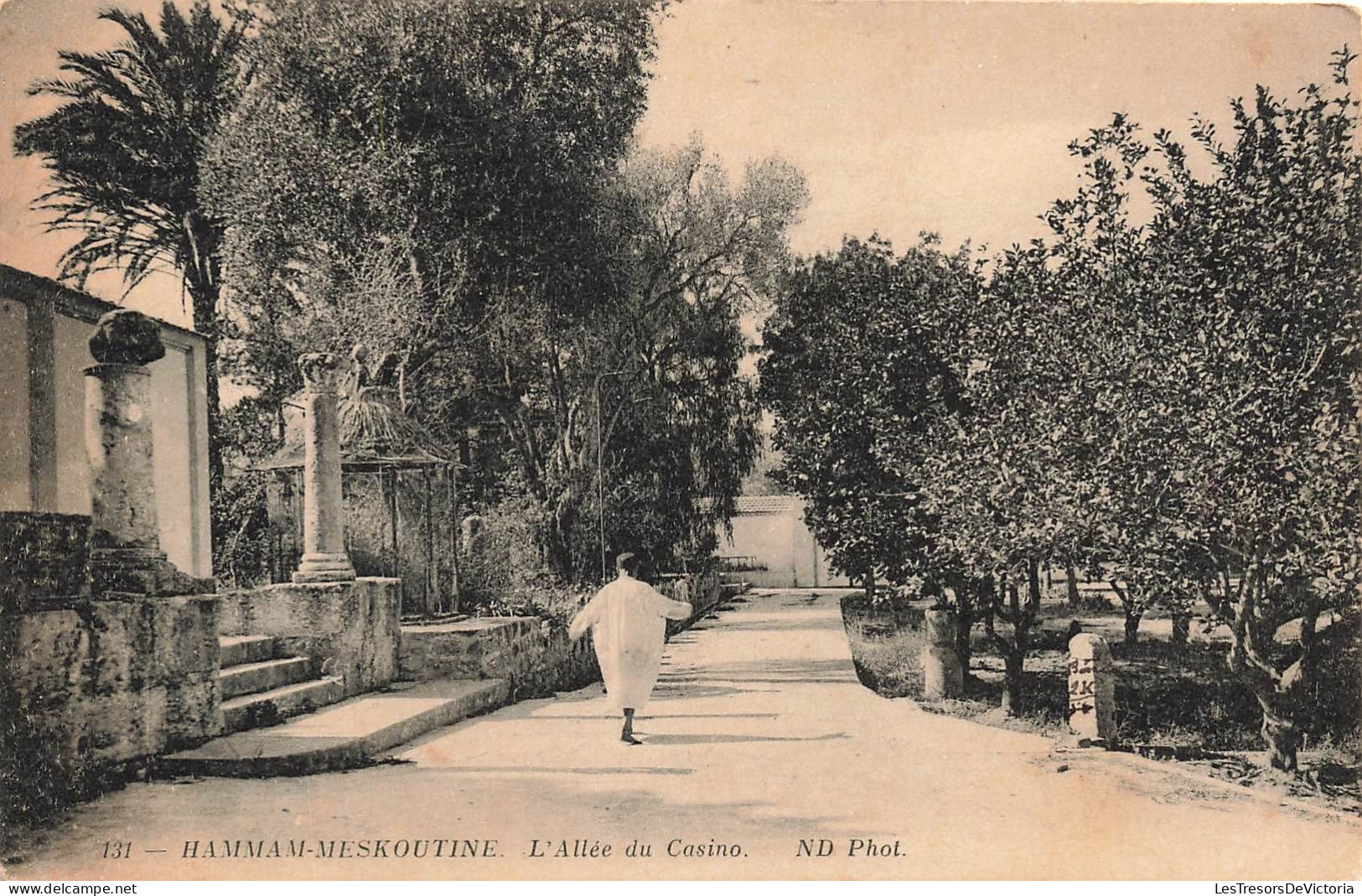 ALGÉRIE - Hammam Meskoutine - L'allée Du Casino - Carte Postale Ancienne - Autres & Non Classés