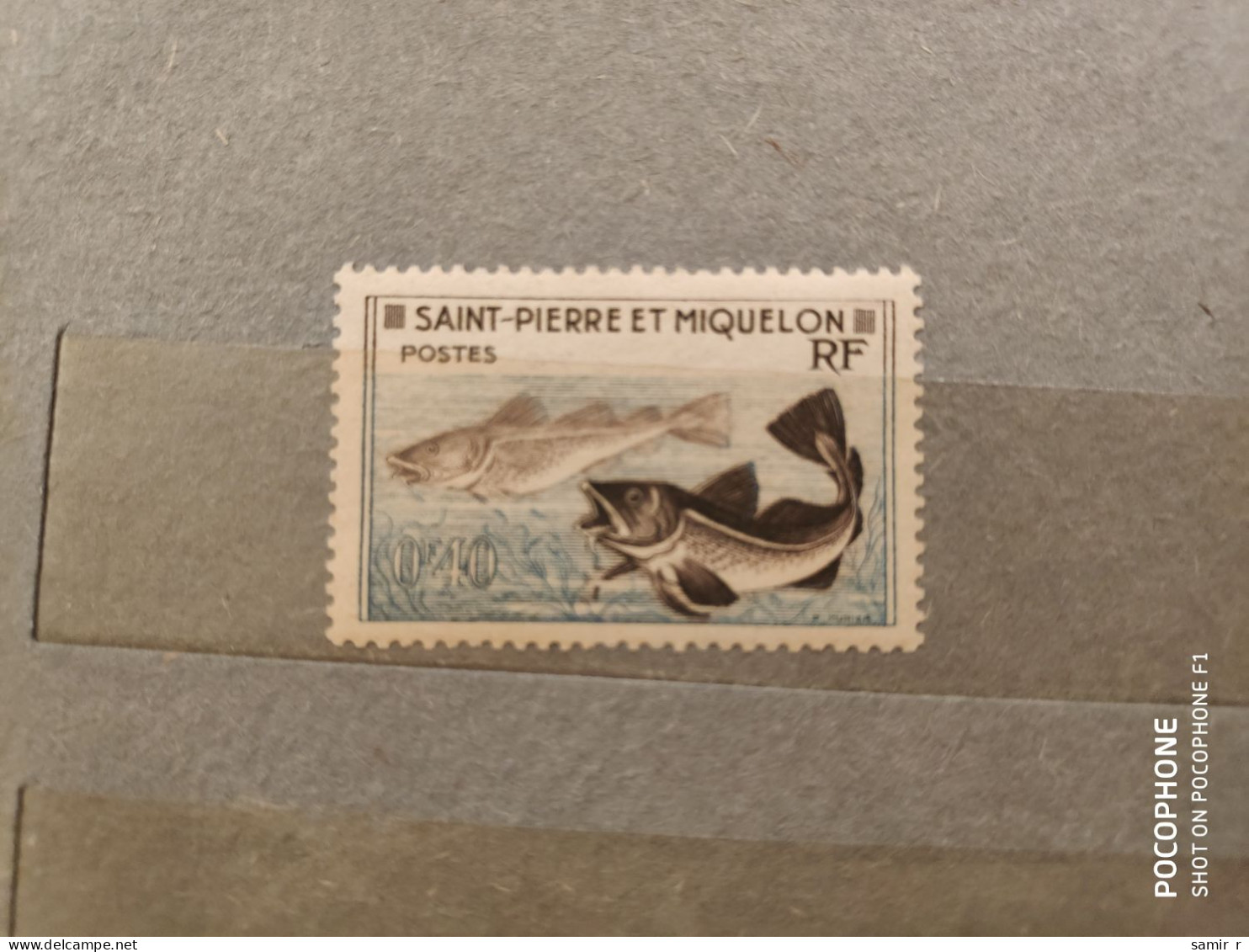 Miquelon	Fishes (F73) - Andere-Oceanië