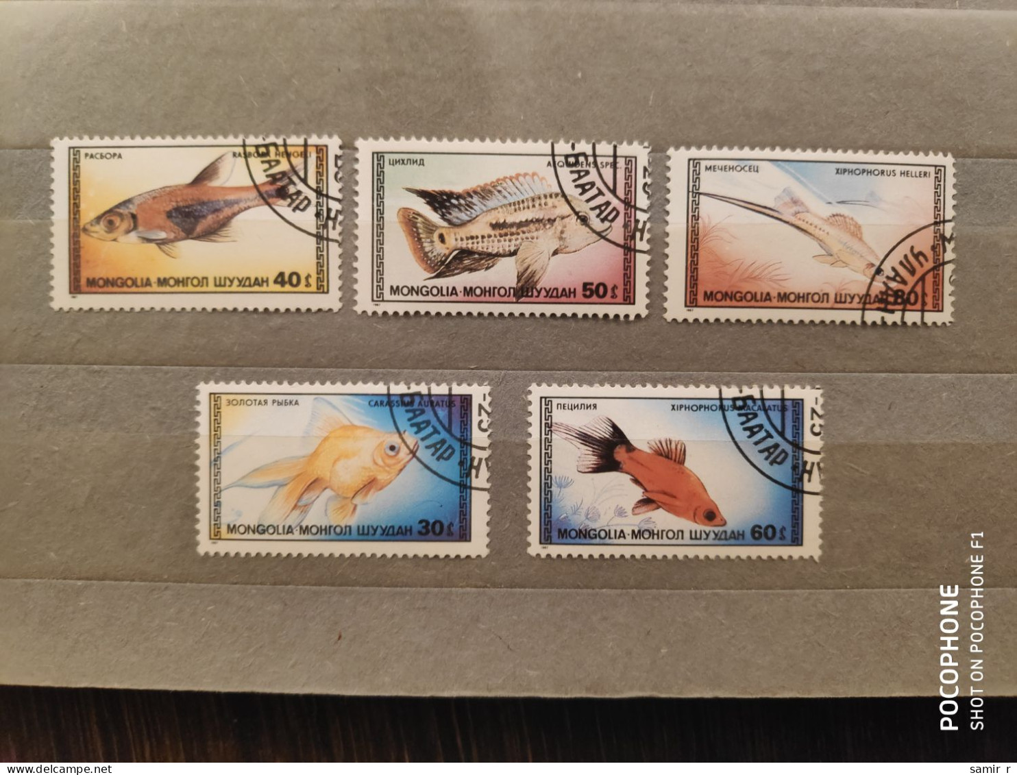 1987	Mongolia	Fishes  (F73) - Autres - Océanie