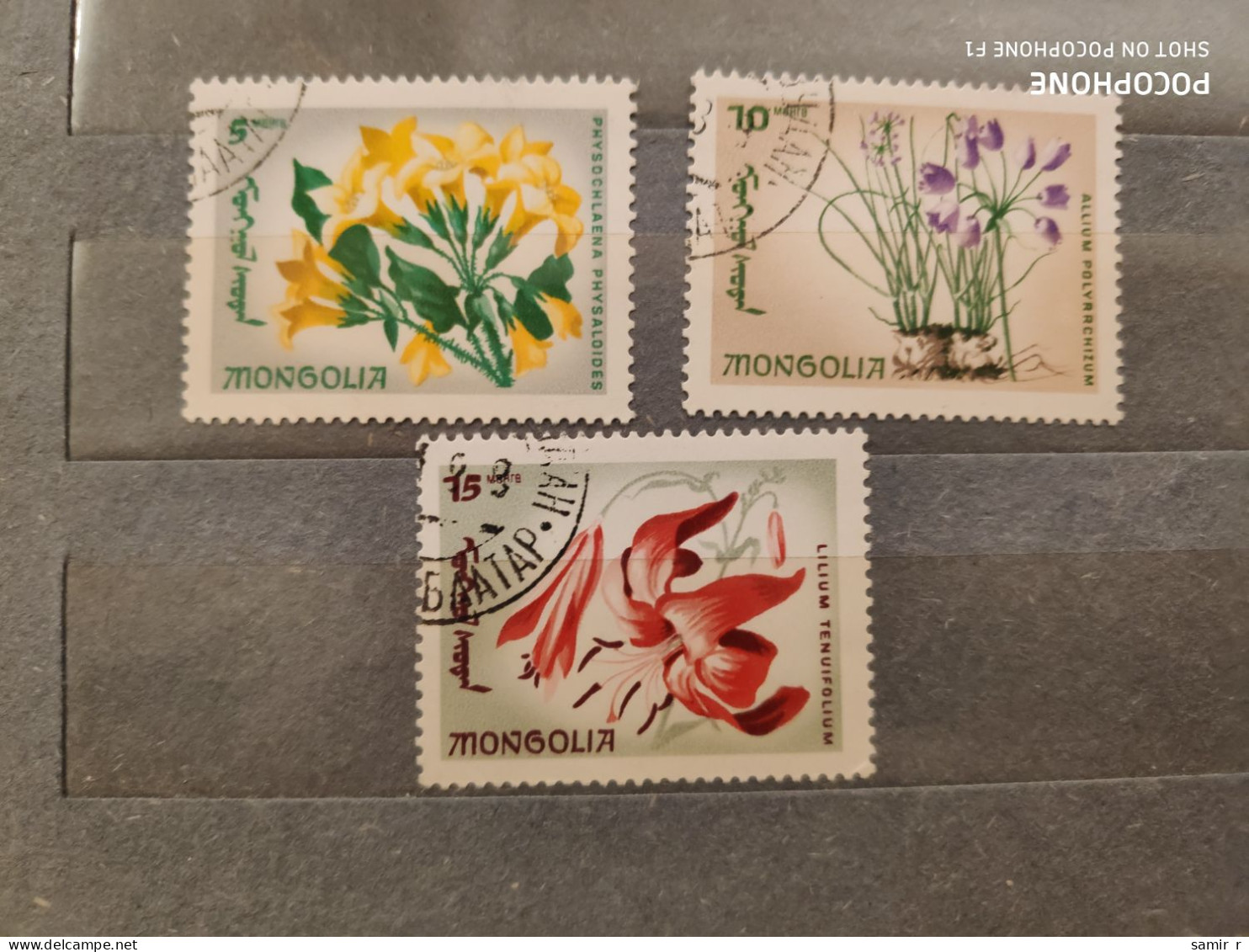 Mongolia	Flowers (F73) - Oceania (Other)