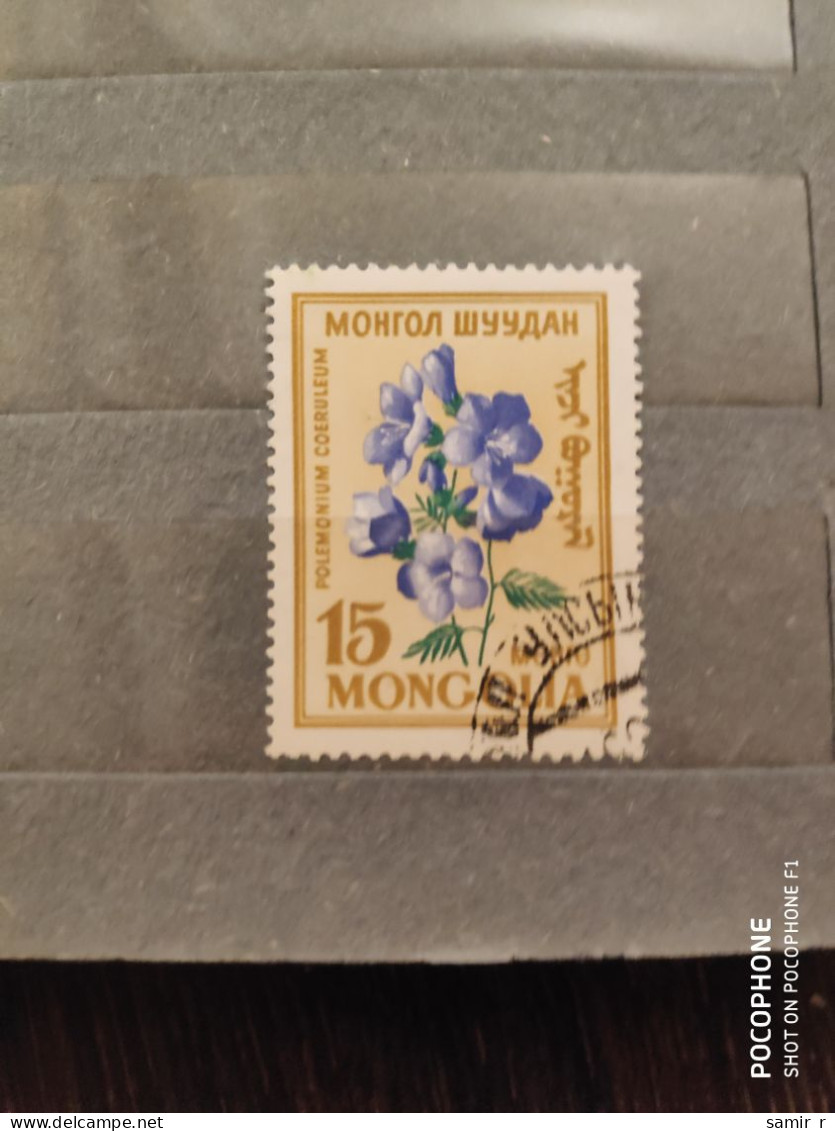 Mongolia	Flowers (F73) - Oceania (Other)