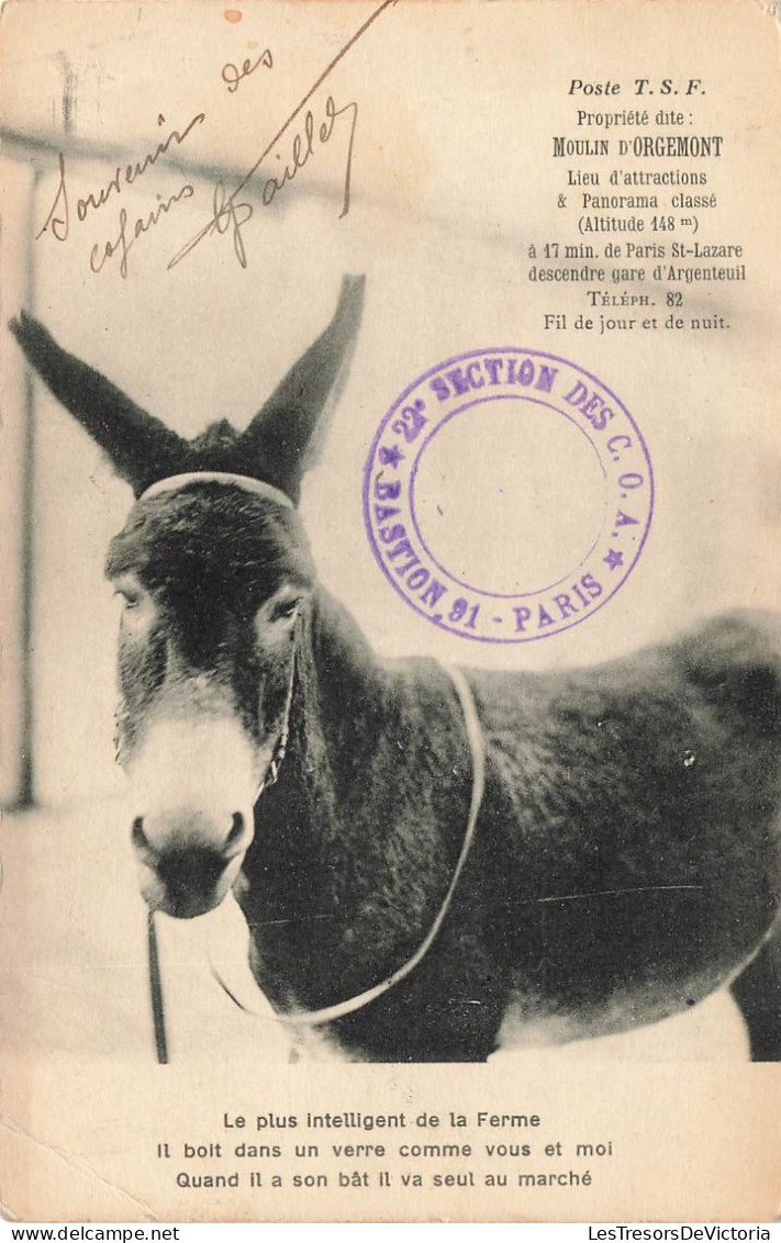 ANIMAUX & FAUNE - Âne - Le Plus Intelligent De La Ferme - Carte Postale Ancienne - Esel
