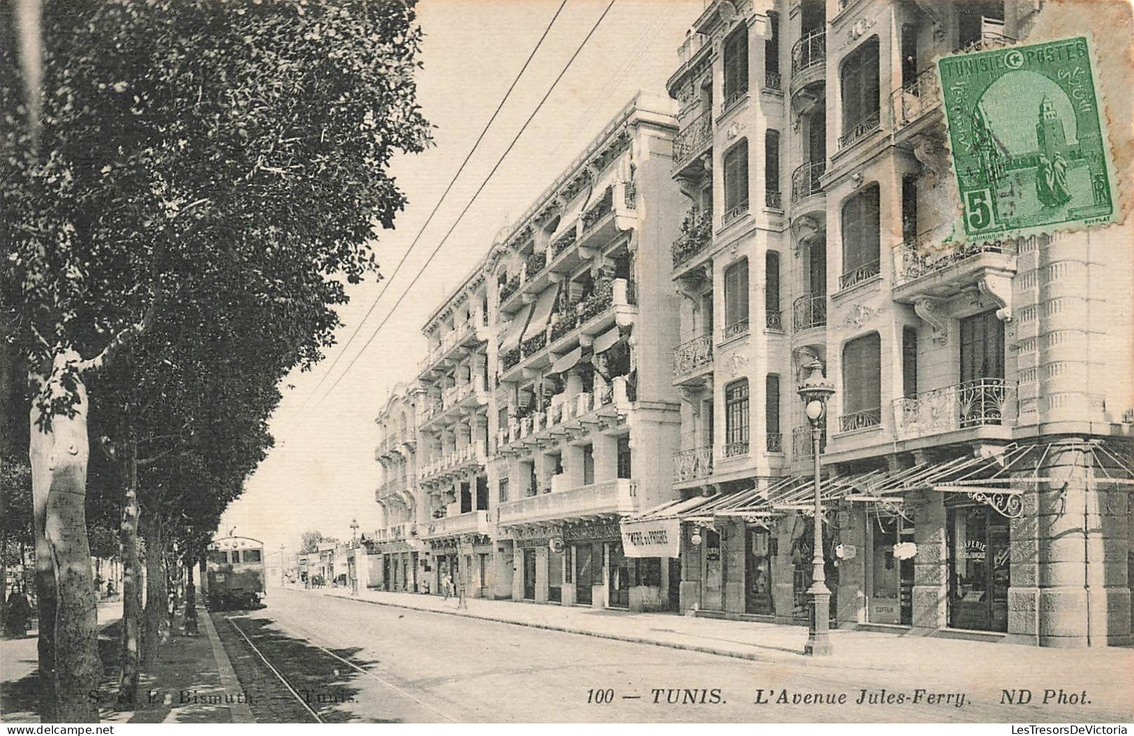 TUNISIE - Tunis - Avenue Jules-Ferry - Carte Postale Ancienne - Tunisia