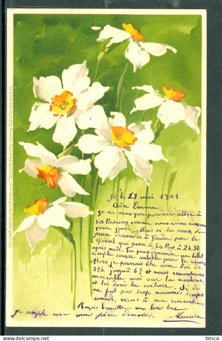 20649 - Catharina Klein (1861-1929) - Fleurs -  Narcisses - Meissner & Buch, Série 1202 Jm Frühlingskleid - Klein, Catharina