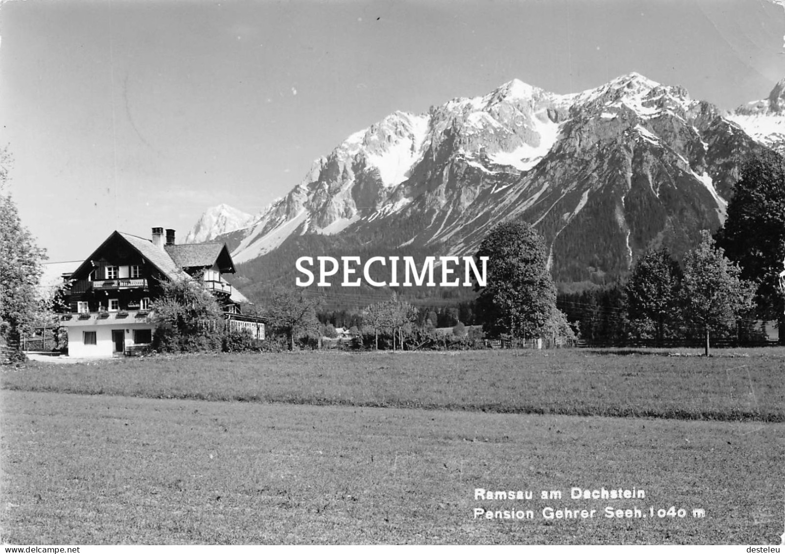 Pension Gehrer Seeh - Ramsau Am Dachstein - Ramsau Am Dachstein