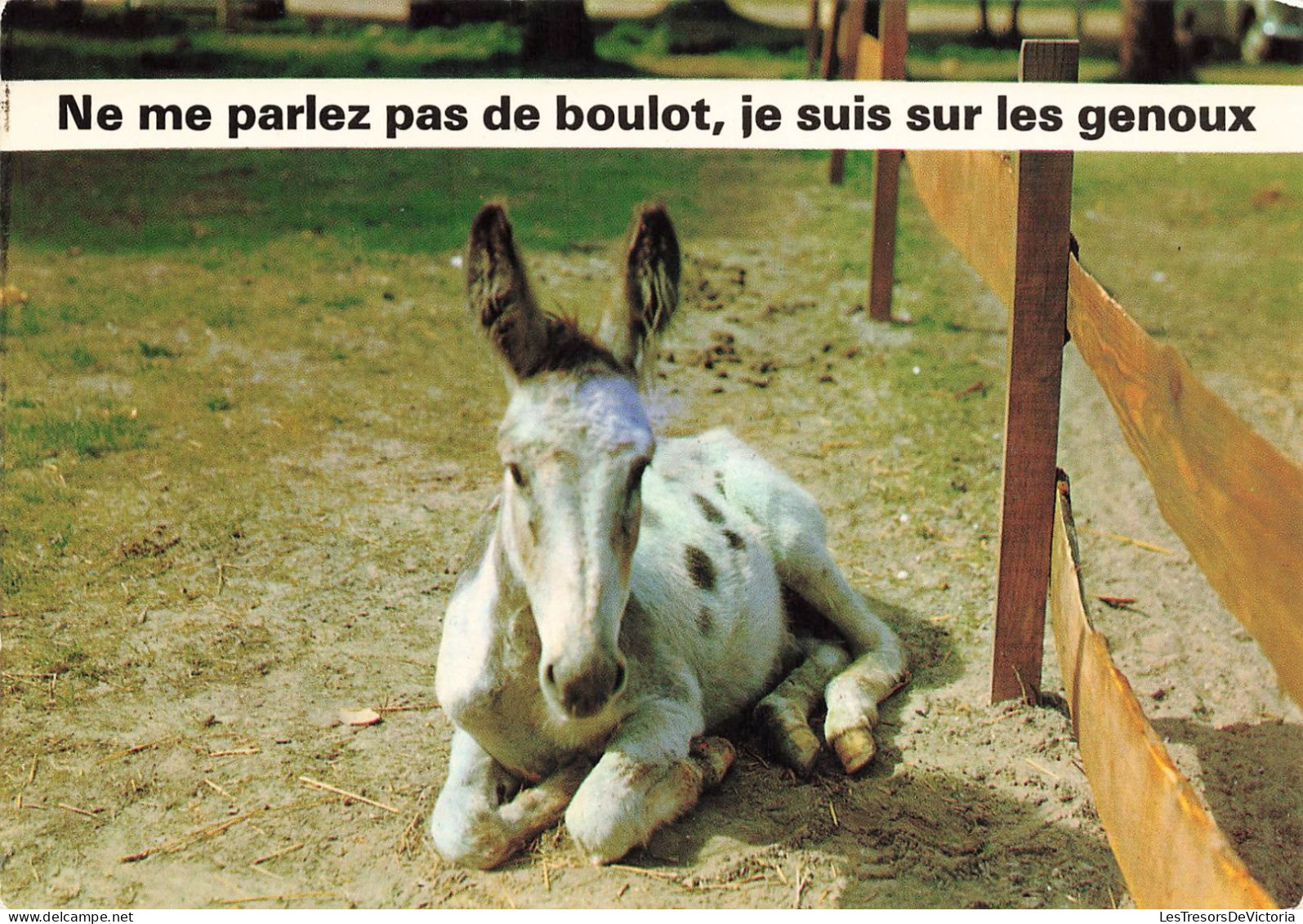 HUMOUR - Mulet - Ne Me Parlez Pas De Boulot - Je Suis Sur Les Genoux - Carte Postale - Humour