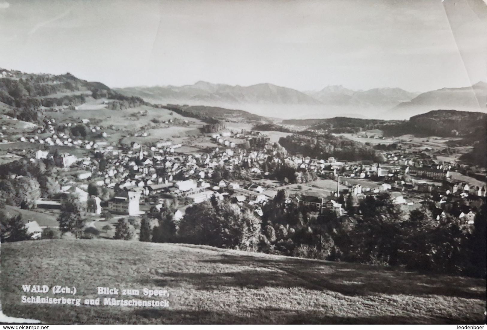 Wald - Blick Zum Speer, Schaniserberg Und Murtschenstock - Wald