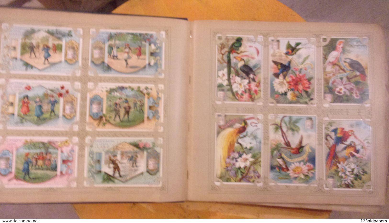 RARE ALBUM NATURE COMPLET 600 LIEBIG  ITALIE ALLEMAGNE SERIE WERBEBILD TRADE CARD PUBBLICITARIA DEUTSH ITALIAN - Sammelbilderalben & Katalogue