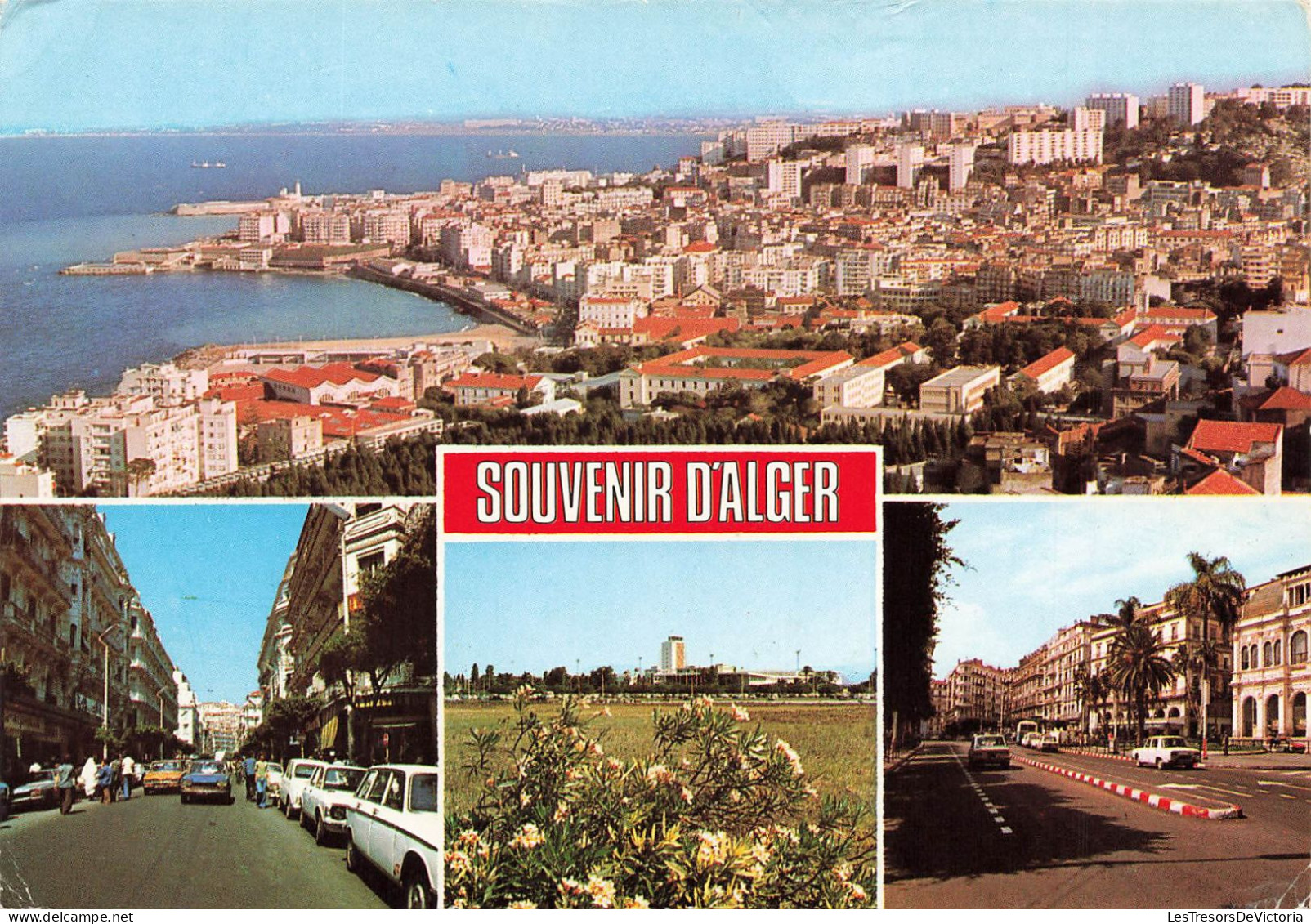 ALGÉRIE - Alger - Souvenir D'Alger - Multi-vues - Carte Postale - Algiers