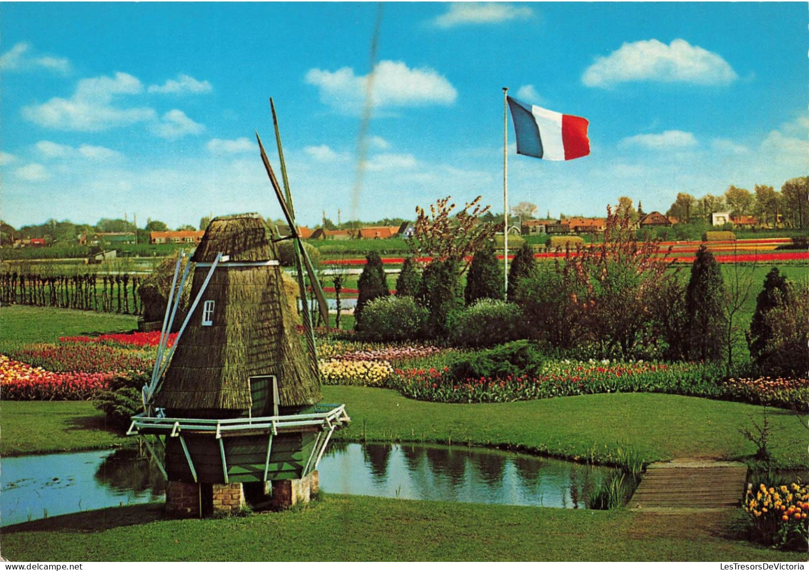 SCÈNES & PAYSAGES - Land Of Flowers And Wind-mills - Carte Postale - Szenen & Landschaften