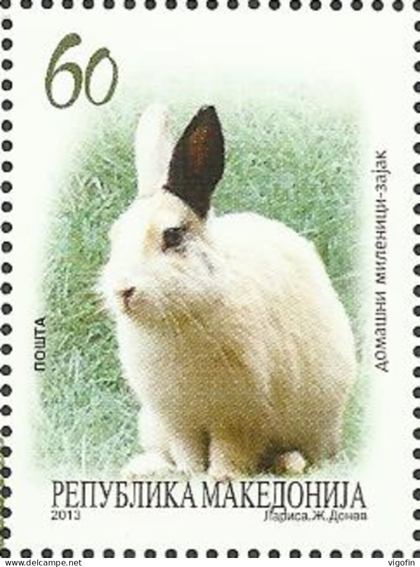 MK 2013-650 RABIT, MACEDONIA, 1 X 1v, MNH - Konijnen