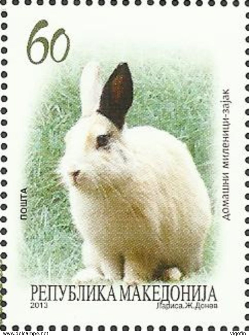 MK 2013-650 RABIT, MACEDONIA, 1 X 1v, MNH - Rabbits