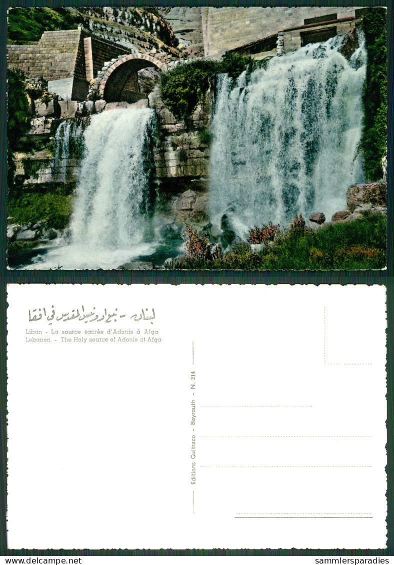 LA121 AK Post Card Libanon Lebanon - Afga The Holy Source Of Adonis - Liban