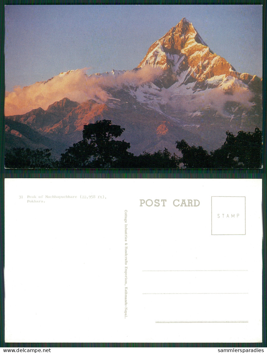 LA141 AK Post Card Nepal - Peak Of Machhapuchhare Pokhara - Népal