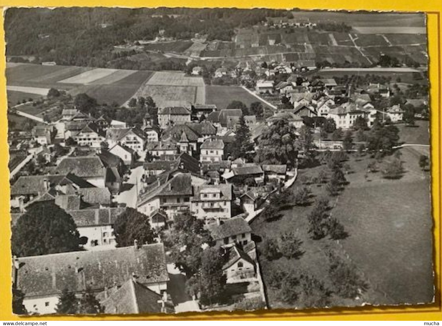 19695 - En Avion Au Dessus De Champagne - Champagne