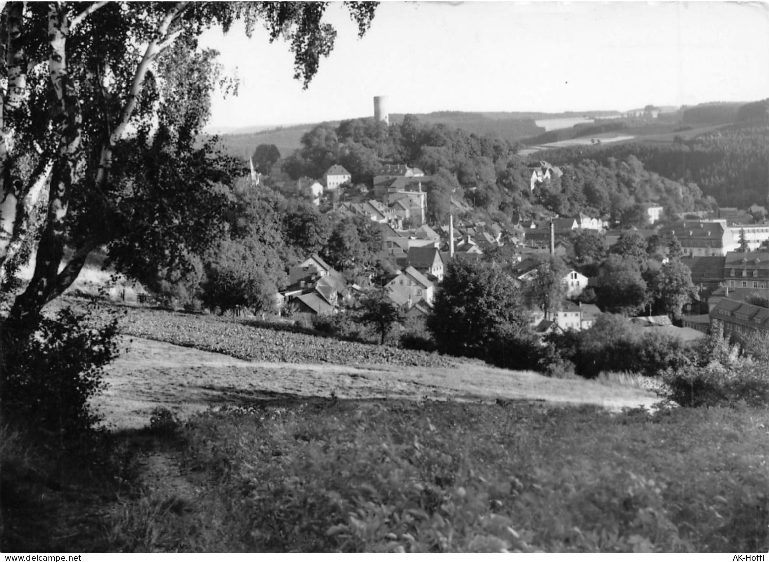 Lobenstein Blick Vom Geheeg (268) - Lobenstein