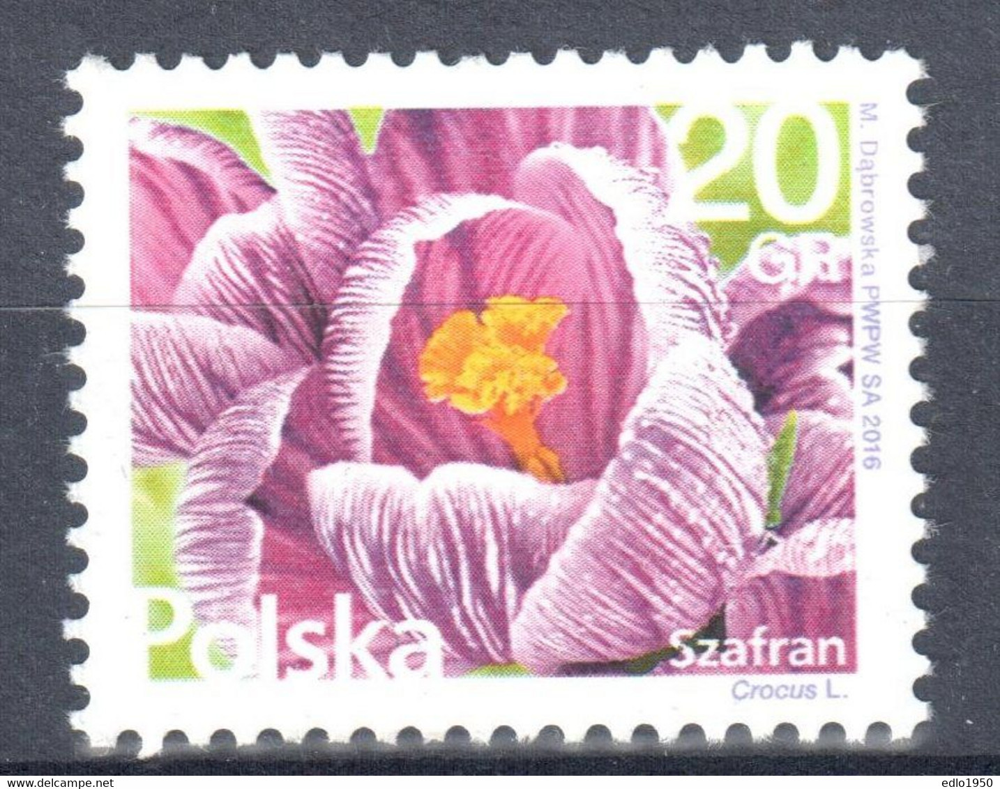 Poland 2016 - Flowers - Mi.4847 - MNH (**) - Nuovi