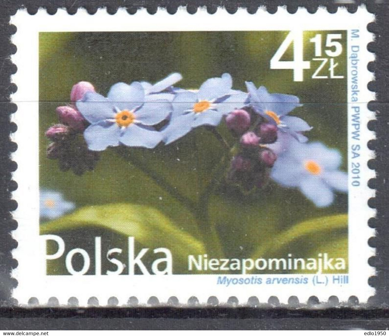 Poland  2010 Flowers And Fruits - Myosotis  - Mi.4489 - MNH (**) - Neufs