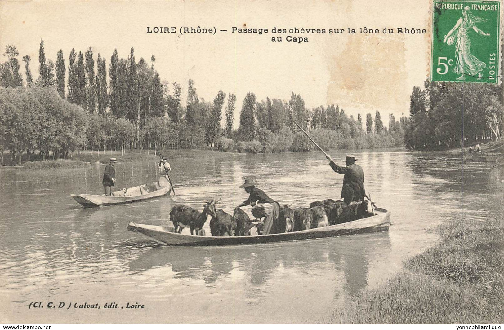 69 - RHÔNE - LOIRE-SUR-RHONE - Passage Des Chèvres Sur La Lône Du  Rhône Au Capa - 10838 - Loire Sur Rhone