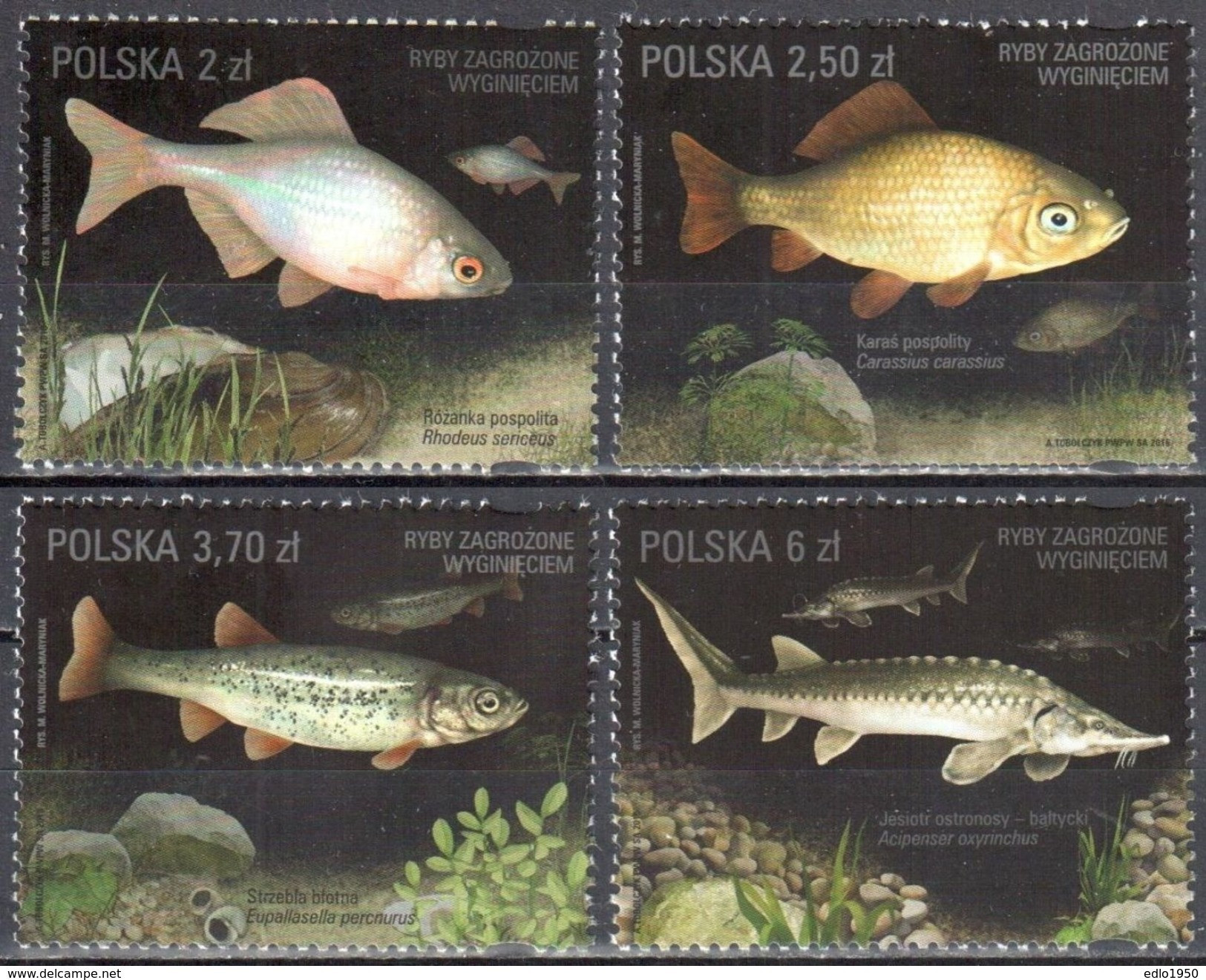 Poland  2016 - Fishes Threatened By The Extinction - Mi.4861-64- MNH (**) - Nuovi