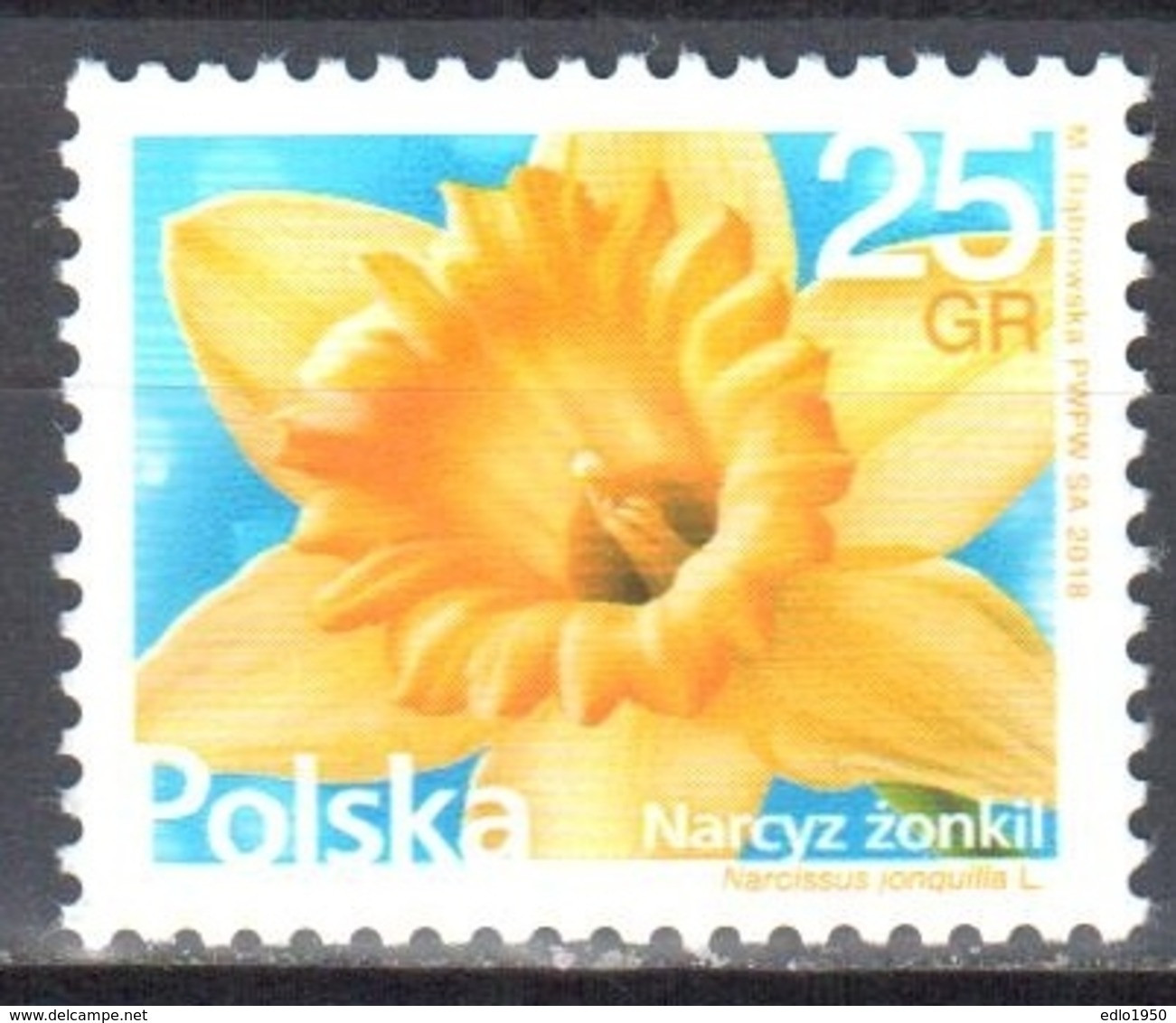 Poland  2018 - Flower - Mi.4979 - MNH (**) - Ongebruikt