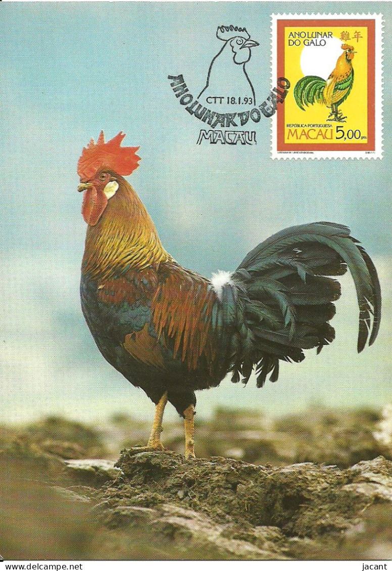 Carte Maximum - Oiseaux - Macao Macau - Galo Coq Rooster Gallus Gallus Domesticus - Ano Lunar Year Année Lunaire - Tarjetas – Máxima