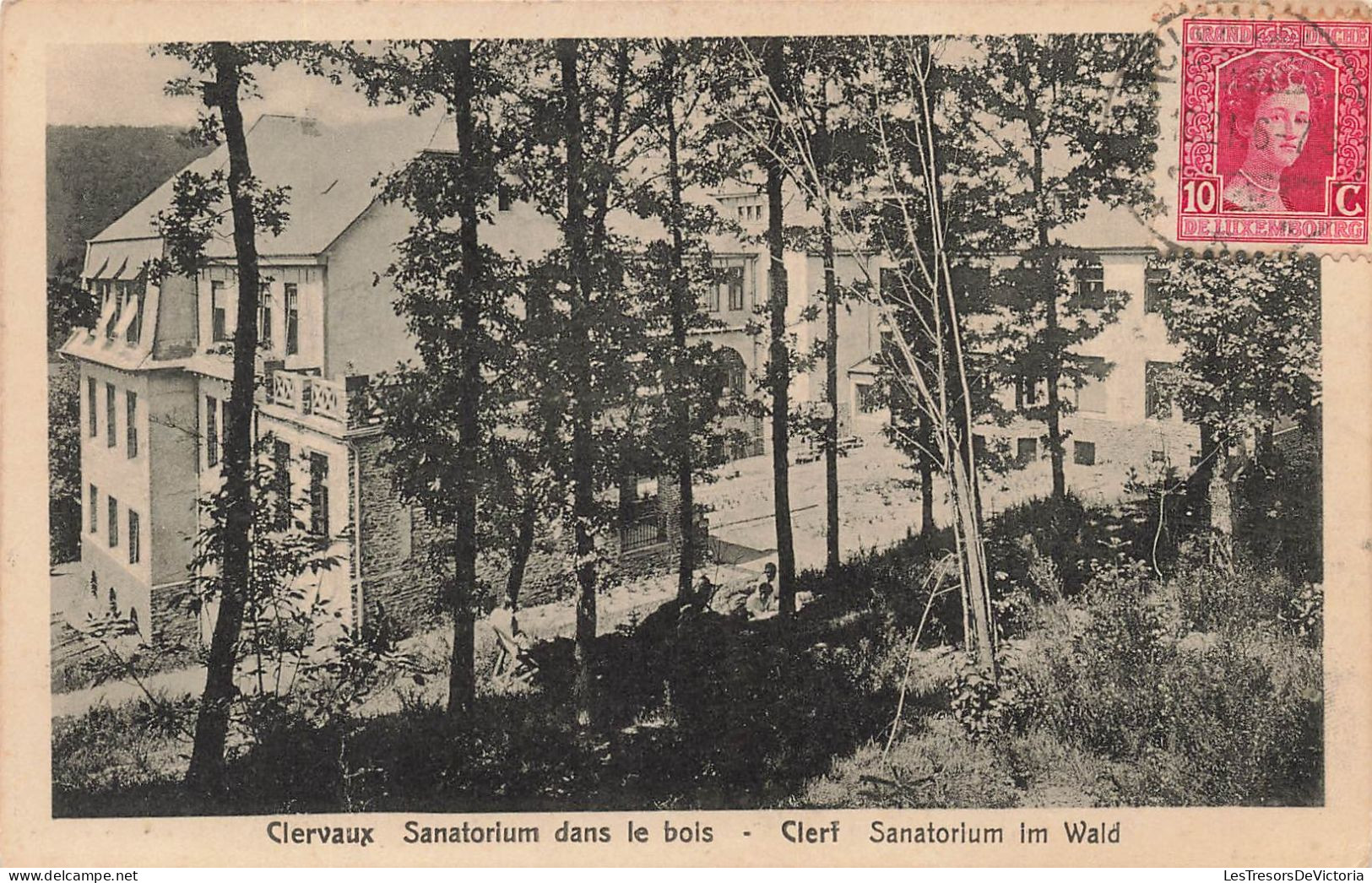 Luxembourg - Clervaux - Sanatorium Dans Le Bois - Forêt - Carte Postale Ancienne - Clervaux