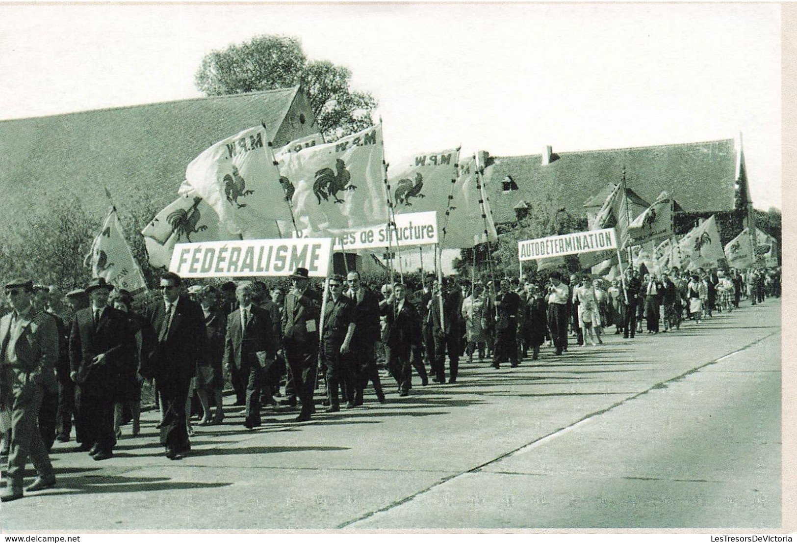 BELGIQUE - Manifestation Du Mouvement Populaire Wallon En 1962 - Animé - Carte Postale - Sonstige & Ohne Zuordnung