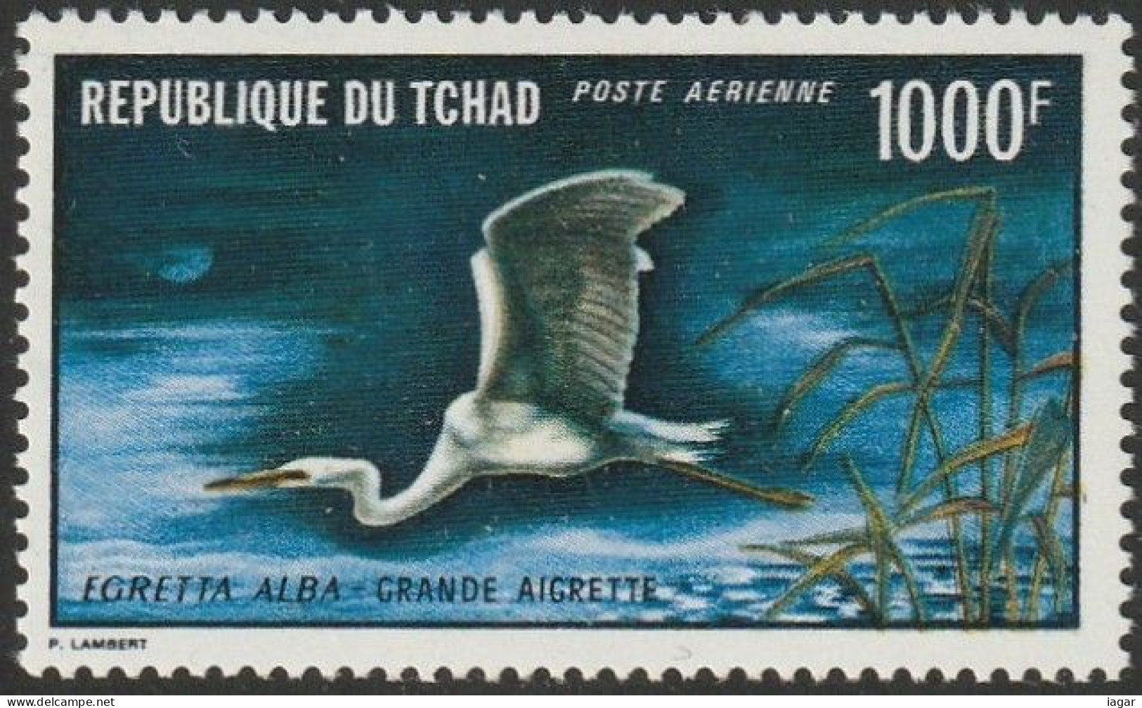 THEMATIC BIRDS:  GREAT WHITE HERON  -  TCHAD - Albatros & Stormvogels