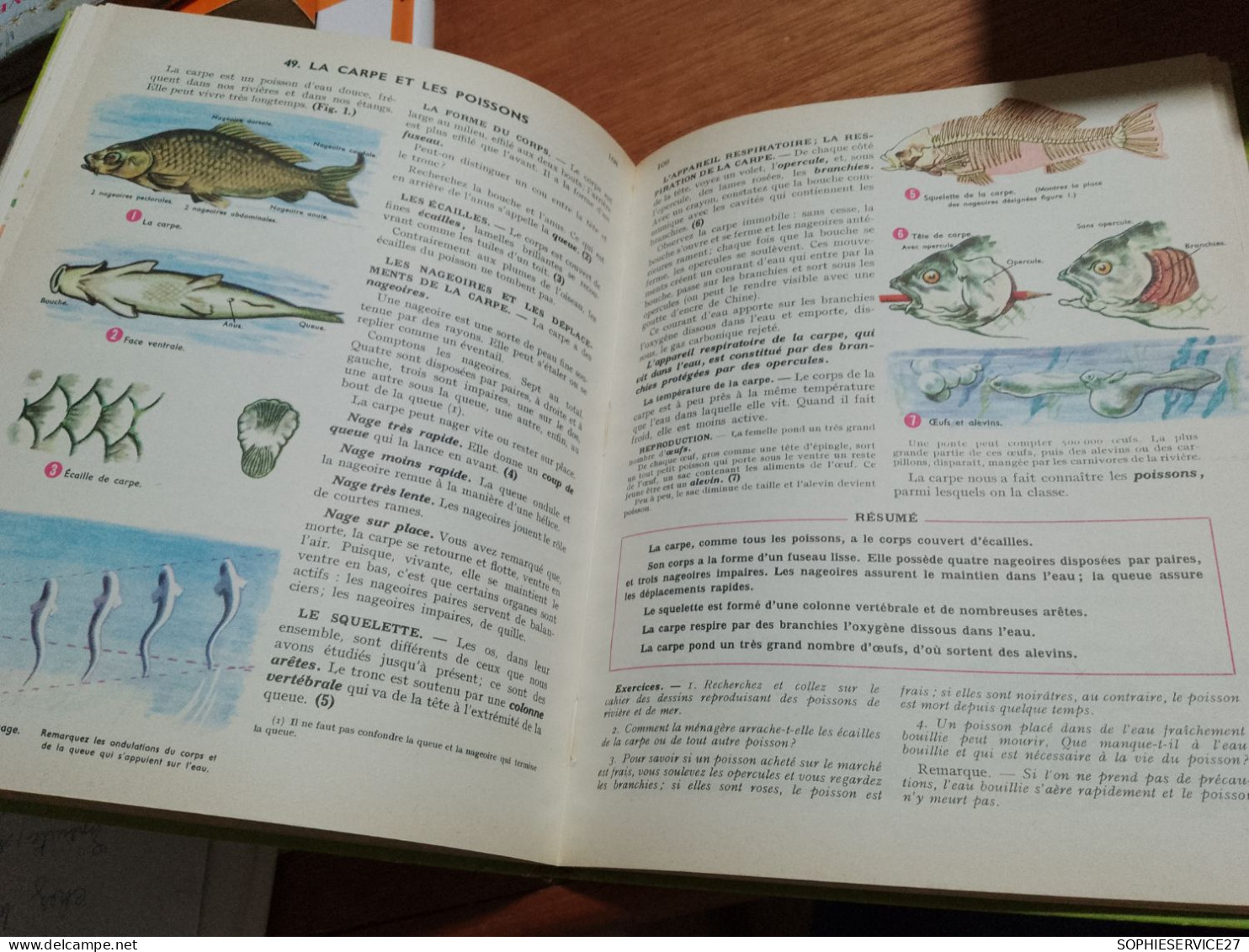 142 //  SCIENCES / INITIATION PAR L'OBSERVATION / CLASSES DE HUITIEME ET DE SEPTIEME / LAROUSSE1955