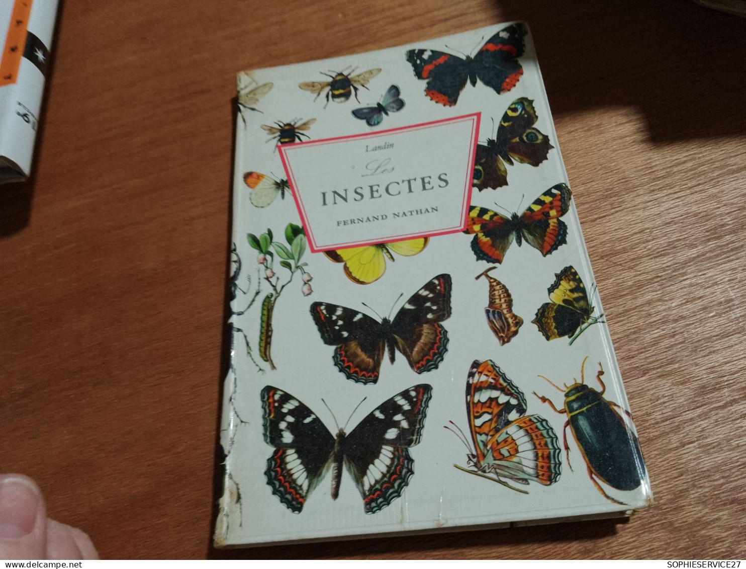 142 //  LES INSECTES 102 PAGES - Sciences