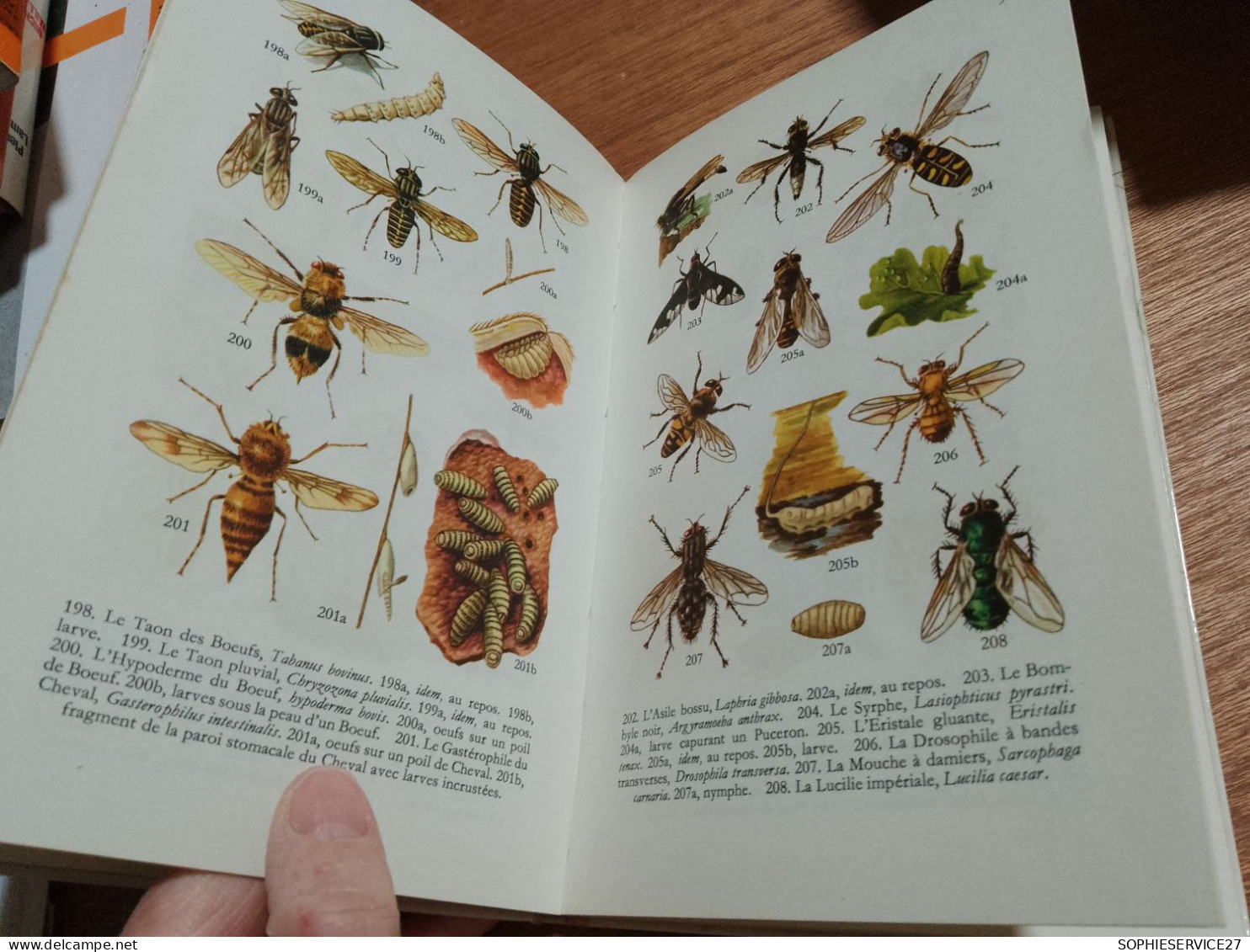 142 //  LES INSECTES 102 PAGES - Sciences